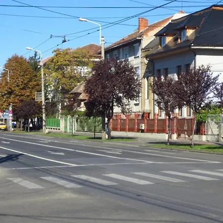 Tim Medina * Timisoara